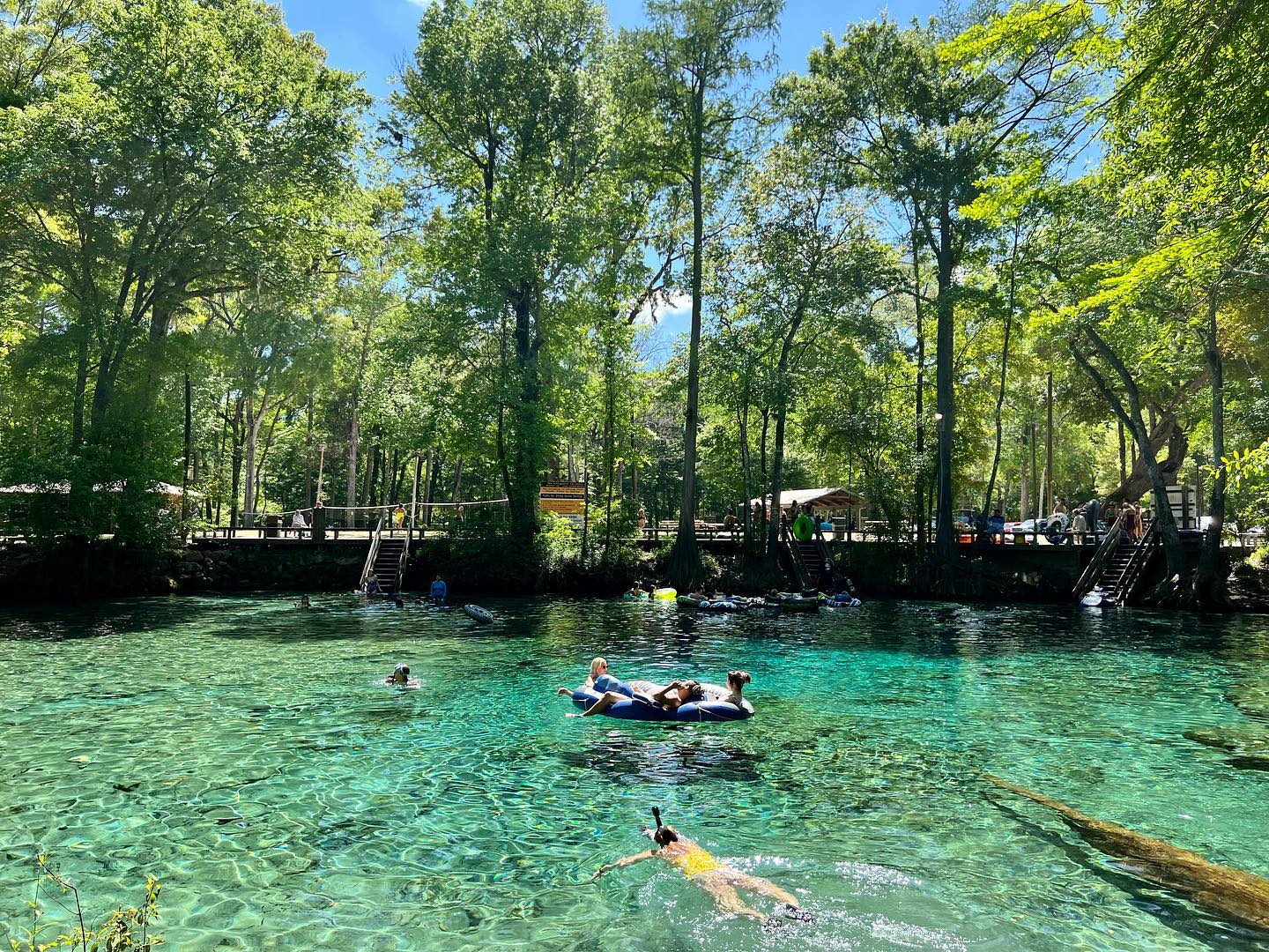 The Best 5 Natural Springs In Florida Journey With Natalia 7886