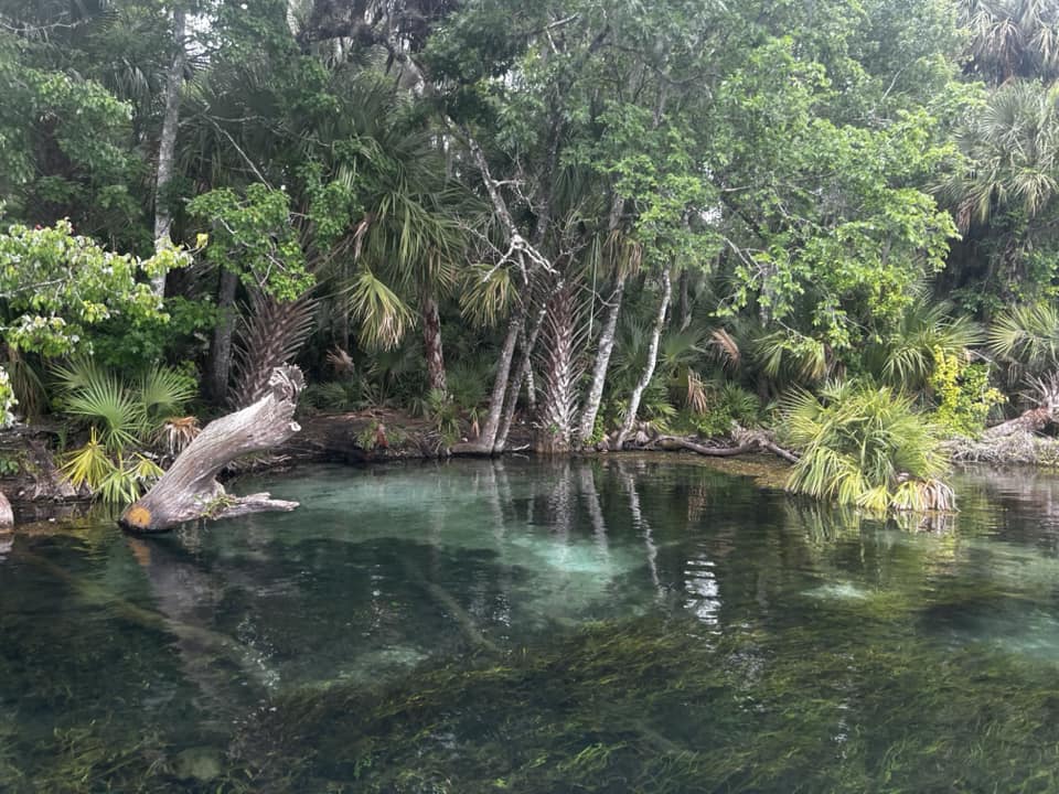 The Best 5 Natural Springs In Florida